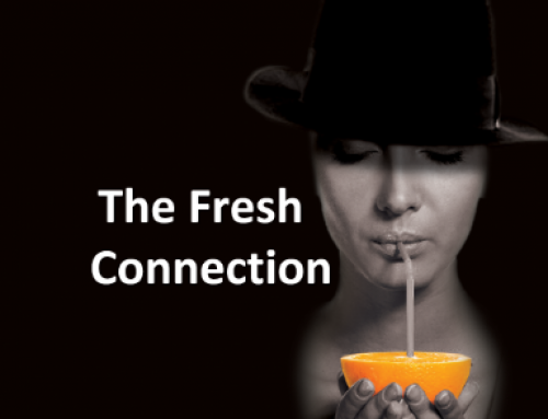 THE FRESH CONECTION
